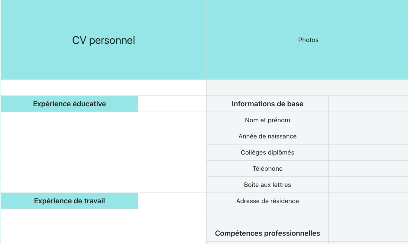 CV de recherche d'emploi cyan